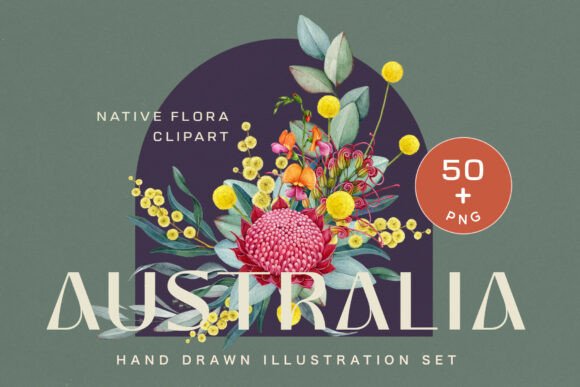 Download Australia Flora Watercolor Clipart - Water Collection