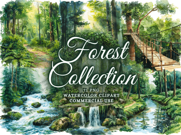 Download Watercolor Forest Clipart - Woodland Png - Water Collection