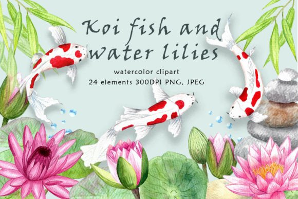 Download Clipart. Koi Fish and Water Lilies. - Premium Bundle