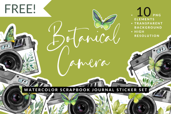 Download Watercolor Leaf Butterfly Camera Sticker - Water Collection