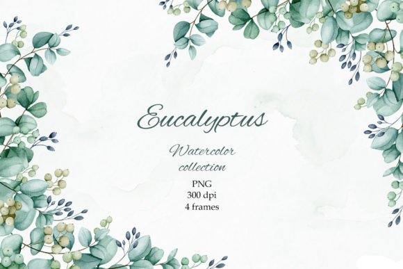 Download Eucalyptus. Watercolor Frames. PNG. - Water Collection