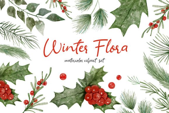 Download Winter Flora Watercolor Hand-drawn Set - Water Collection