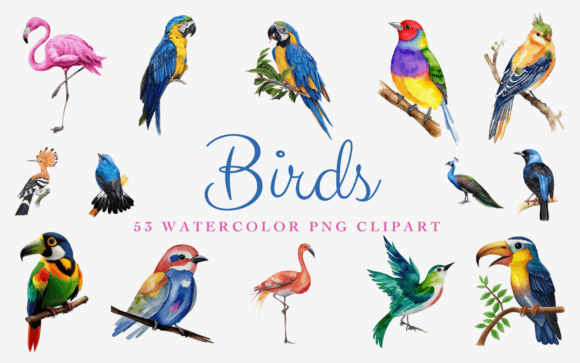 Download 53 Watercolor Birds Premium PNG Clipart - Water Collection